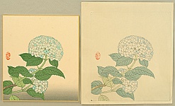Nisaburo Ito 1910-1988 - Hydrangea - Watercolor and Trial Proof - artelino Art Auctions. Nisaburo Ito 1910-1988 - Hydrangea - Watercolor and Trial Proof