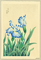 Eiichi Kotozuka 1906-1979 - Iris - artelino Art Auctions. Eiichi Kotozuka 1906-1979 - Iris