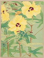 Zuigetsu Ikeda 1877-1944 - Chinese Hibiscus - artelino Art Auctions. Zuigetsu Ikeda 1877-1944 - Chinese Hibiscus