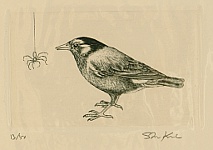 Shigeki Kuroda born 1953 - Bird and Spider
