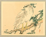 Bairei Kono 1844-1895 - Bairei Gadan - Hawk - artelino Art Auctions. Bairei Kono 1844-1895 - Bairei Gadan - Hawk