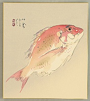 Seiho Takeuchi 1864-1942 - Sea Bream - Tai Fish - artelino Art Auctions. Seiho Takeuchi 1864-1942 - Sea Bream - Tai Fish