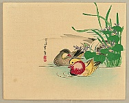 Sadanobu II Hasegawa 1848-1886 - Mandarin Ducks - artelino Art Auctions. Sadanobu II Hasegawa 1848-1886 - Mandarin Ducks