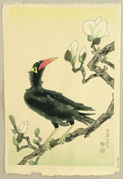 Eiichi Kotozuka 1906-1979 - Myna Bird and Magnolia - artelino Art Auctions. Eiichi Kotozuka 1906-1979 - Myna Bird and Magnolia