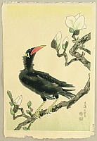 Eiichi Kotozuka 1906-1979 - Myna Bird and Magnolia - artelino Art Auctions. Eiichi Kotozuka 1906-1979 - Myna Bird and Magnolia