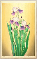 Ryusei Okamoto born 1949 - German Iris - artelino Art Auctions. Ryusei Okamoto born 1949 - German Iris