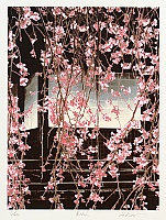 Hideaki Kato born 1954 - Flower Curtain - artelino Art Auctions. Hideaki Kato born 1954 - Flower Curtain