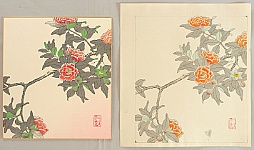 Nisaburo Ito 1910-1988 - Camellia - Watercolor and Finished Print - artelino Art Auctions. Nisaburo Ito 1910-1988 - Camellia - Watercolor and Finished Print