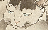 Gyokusho Kawabata 1842-1914 - Cat with Blue Eyes - artelino Art Auctions. Gyokusho Kawabata 1842-1914 - Cat with Blue Eyes