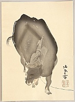 Seiho Takeuchi 1864-1942 - Twelve Zodiac Signs - Ox - artelino Art Auctions. Seiho Takeuchi 1864-1942 - Twelve Zodiac Signs - Ox