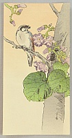 Gesso Yoshimoto 1881-1936 - Bird and Flowering Tree - artelino Art Auctions. Gesso Yoshimoto 1881-1936 - Bird and Flowering Tree