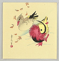 Sadanobu II Hasegawa 1848-1886 - Mandarin Ducks - artelino Art Auctions. Sadanobu II Hasegawa 1848-1886 - Mandarin Ducks