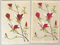 Nisaburo Ito 1910-1988 - Magnolia - Trial proof prints and the original water color painting - artelino Art Auctions. Nisaburo Ito 1910-1988 - Magnolia - Trial proof prints and the original water color painting