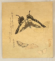 Shumman Kubo 1757-1820 - Butterflies - artelino Art Auctions. Shumman Kubo 1757-1820 - Butterflies