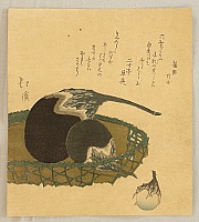 Hokkei Totoya 1780-1850 - Eggplants - artelino Art Auctions. Hokkei Totoya 1780-1850 - Eggplants