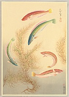 Bakufu Ono 1888-1976 - Great Japanese Fish Picture Collection - Seawife - artelino Art Auctions. Bakufu Ono 1888-1976 - Great Japanese Fish Picture Collection - Seawife
