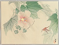 Shunkyo Yamamoto 1871-1933 - Rose Mallow and dragonfly - artelino Art Auctions. Shunkyo Yamamoto 1871-1933 - Rose Mallow and dragonfly
