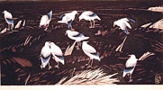 Hao Boyi born 1938 - Dark Fertile Soil
