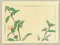 Zeshin Shibata 1807-1891 - Hana Kurabe - Flowering Plant - artelino Art Auctions. Zeshin Shibata 1807-1891 - Hana Kurabe - Flowering Plant