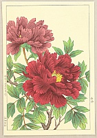 Hodo Nishimura active 1930s - Peony - artelino Art Auctions. Hodo Nishimura active 1930s - Peony