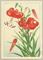 Hodo Nishimura active 1930s - Mountain Lilies - artelino Art Auctions. Hodo Nishimura active 1930s - Mountain Lilies