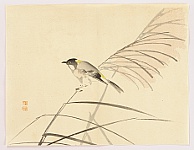 Gyokusho Kawabata 1842-1914 - Bird and Pampas Grass - artelino Art Auctions. Gyokusho Kawabata 1842-1914 - Bird and Pampas Grass