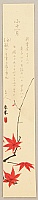 Shunkyo Yamamoto 1871-1933 - Maple Leaves - artelino Art Auctions. Shunkyo Yamamoto 1871-1933 - Maple Leaves