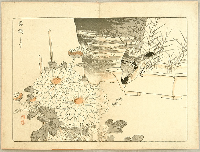 Bairei Kono 1844-1895 - 100 Chrysanthemums - with a Bird and Ants