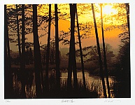 Hideaki Kato born 1954 - Sagano in Sunset - artelino Art Auctions. Hideaki Kato born 1954 - Sagano in Sunset