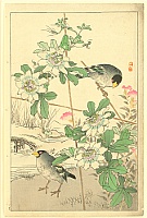 Bairei Kono 1844-1895 - Flower and Bird by Bairei - Passion Flower and Bird - artelino Art Auctions. Bairei Kono 1844-1895 - Flower and Bird by Bairei - Passion Flower and Bird