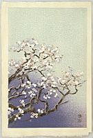 Eiichi Kotozuka 1906-1979 - Cherry Blossoms in Evening - artelino Art Auctions. Eiichi Kotozuka 1906-1979 - Cherry Blossoms in Evening