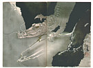 Seiho Takeuchi 1864-1942 - Crocodile Dragon - artelino Art Auctions. Seiho Takeuchi 1864-1942 - Crocodile Dragon