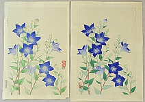 Nisaburo Ito 1910-1988 - Blue Balloon Flowers - artelino Art Auctions. Nisaburo Ito 1910-1988 - Blue Balloon Flowers