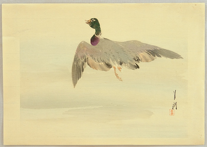 Gekko Ogata 1859-1920 - Gekko's Artwork - Flying Mallard - artelino Art Auctions. Gekko Ogata 1859-1920 - Gekko's Artwork - Flying Mallard