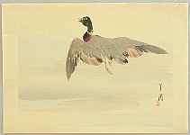 Gekko Ogata 1859-1920 - Gekko's Artwork - Flying Mallard - artelino Art Auctions. Gekko Ogata 1859-1920 - Gekko's Artwork - Flying Mallard