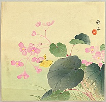 Chikuseki active ca. 1900 - Flower and Butterfly - artelino Art Auctions. Chikuseki active ca. 1900 - Flower and Butterfly