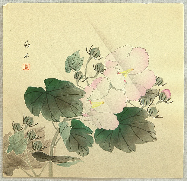Chikuseki  active ca. 1900 - China Rose