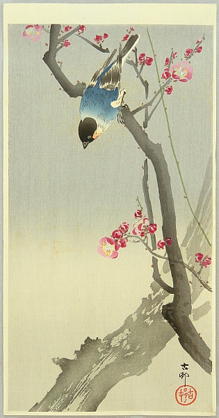 Koson Ohara 1877-1945 - Blue Bird on a Plum Tree - artelino Art Auctions. Koson Ohara 1877-1945 - Blue Bird on a Plum Tree