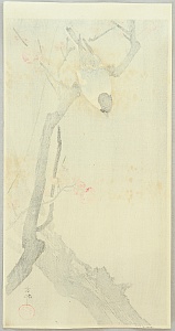 Koson Ohara 1877-1945 - Blue Bird on a Plum Tree - artelino Art Auctions. Koson Ohara 1877-1945 - Blue Bird on a Plum Tree