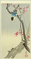 Koson Ohara 1877-1945 - Blue Bird on a Plum Tree - artelino Art Auctions. Koson Ohara 1877-1945 - Blue Bird on a Plum Tree