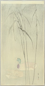 Shoun Yamamoto 1870-1965 - Mallard Ducks and Reeds - artelino Art Auctions. Shoun Yamamoto 1870-1965 - Mallard Ducks and Reeds