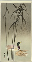 Shoun Yamamoto 1870-1965 - Mallard Ducks and Reeds - artelino Art Auctions. Shoun Yamamoto 1870-1965 - Mallard Ducks and Reeds