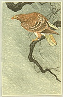 Unknown - Eagle in the Wind - artelino Art Auctions. Unknown - Eagle in the Wind
