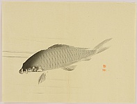 Gyokusho Kawabata 1842-1914 - Carp - artelino Art Auctions. Gyokusho Kawabata 1842-1914 - Carp