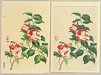Nisaburo Ito 1910-1988 - Camellia - hand painted watercolors and a trial proof - artelino Art Auctions. Nisaburo Ito 1910-1988 - Camellia - hand painted watercolors and a trial proof