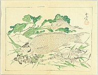 Kyosai Kawanabe 1831-1889 - Kyosai Rakuga - Fish and Prawns - artelino Art Auctions. Kyosai Kawanabe 1831-1889 - Kyosai Rakuga - Fish and Prawns