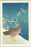 Goose and Reeds - Koson Ohara - 1877-1945