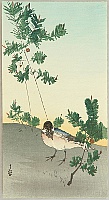 Gesso Yoshimoto 1881-1936 - Bird and Pines - artelino Art Auctions. Gesso Yoshimoto 1881-1936 - Bird and Pines