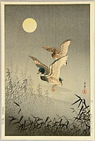 Koitsu Tsuchiya 1870-1949 - Mullard Ducks in Fullmoon Night - artelino Art Auctions. Koitsu Tsuchiya 1870-1949 - Mullard Ducks in Fullmoon Night