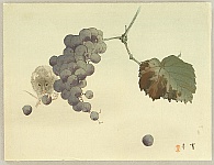 Seitei (Shotei) Watanabe 1851-1918 - Mouse and Grapes - artelino Art Auctions. Seitei (Shotei) Watanabe 1851-1918 - Mouse and Grapes